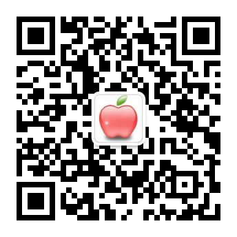 bob全网站